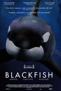 Blackfish